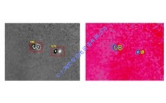 鋁蜂窩板粘接質(zhì)量檢測